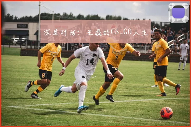 深度对话：王磊的CS_GO人生