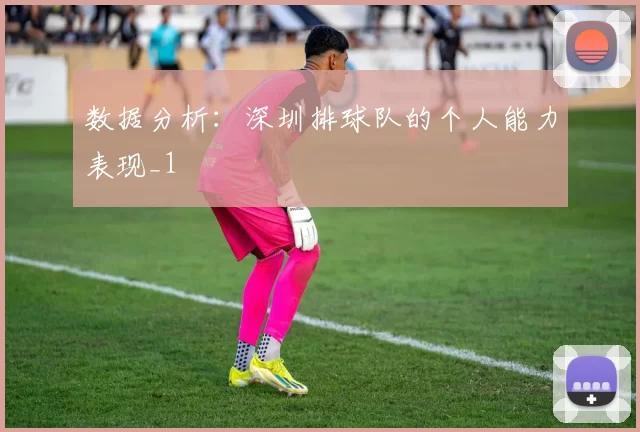 数据分析：深圳排球队的个人能力表现_1