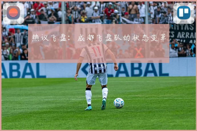 热议飞盘：成都飞盘队的状态变革