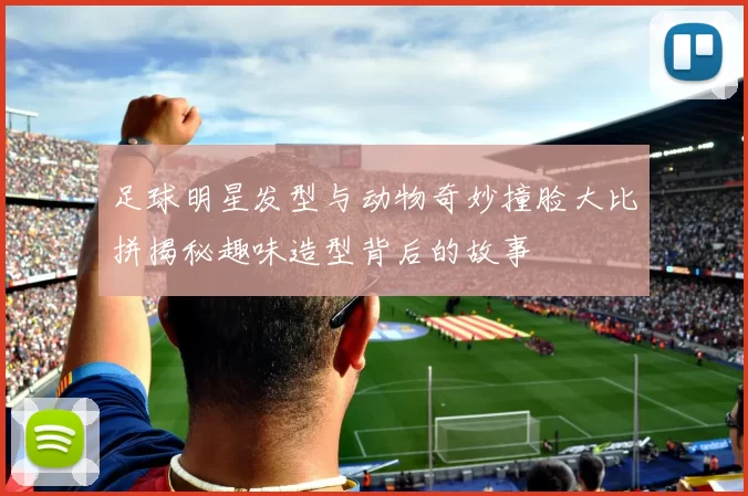 足球明星发型与动物奇妙撞脸大比拼揭秘趣味造型背后的故事